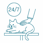 Always vets available for pets