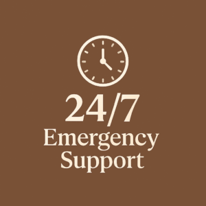 pet care services in hyderabad