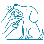 Trusted pet clinic in hyderabad