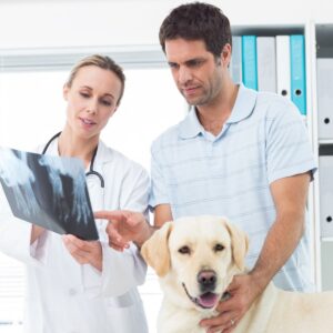 pet care services in hyderabad