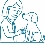 pet is diagnosing by a vet